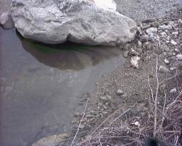 Inquinamento 24-02-05 017.jpg